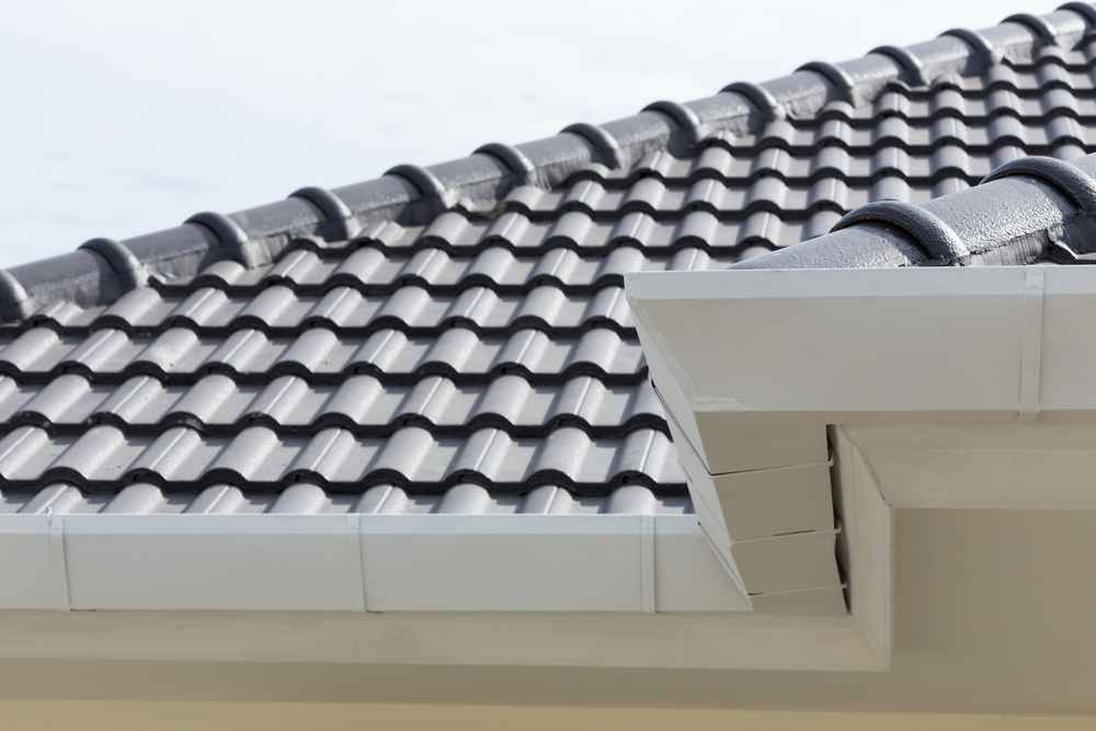 Which Metal Roof is Best for My Westminster Home?