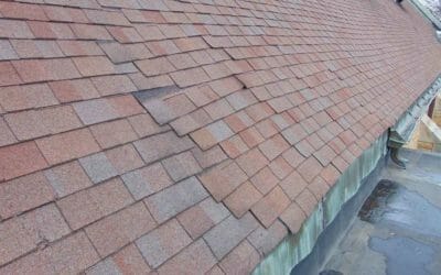 The Most Common Spring Roofing Problems in Westminster (And What to Do About Them)
